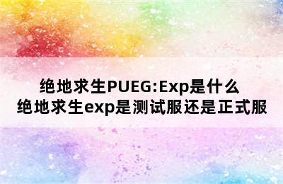 绝地求生PUEG:Exp是什么 绝地求生exp是测试服还是正式服